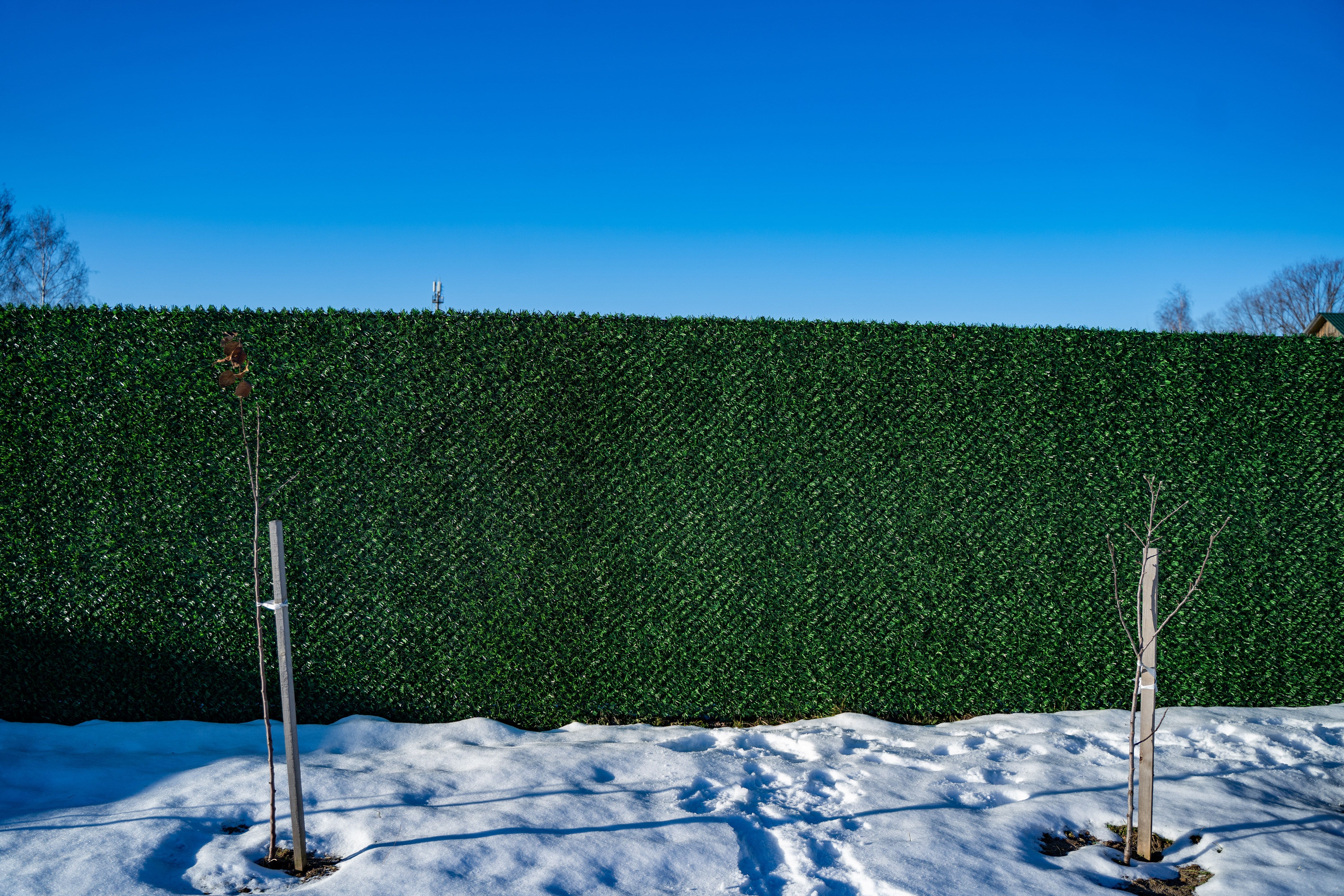 Вечнозеленый забор Grass Fence рулон 2м фото 8 в Владивостоке