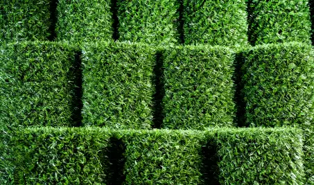 Нужен бесплатный расчет забора Grass Fence из искусственной травы в Владивостоке?